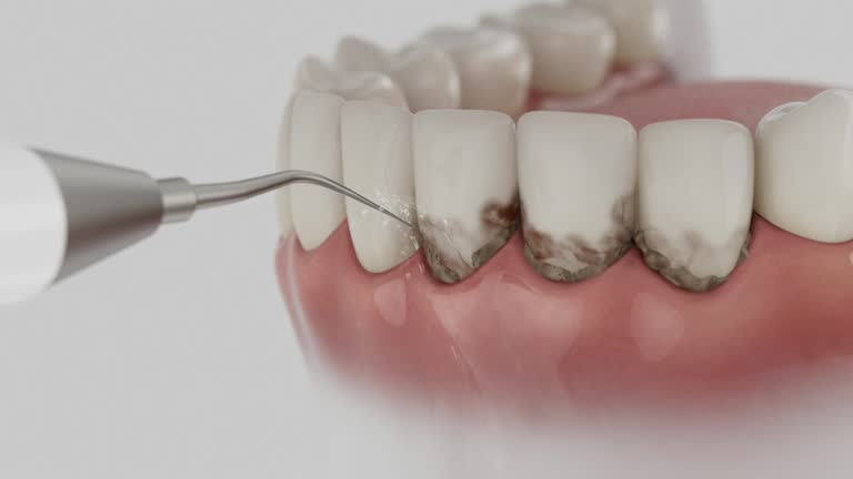 Reliable Dental contractor in Zachary, LA by Dentist Open Now
